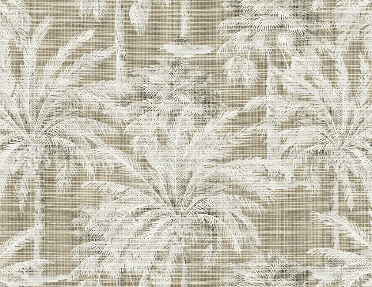 Brewster Home Fashions Dream Of Palm Trees Texture Brown Wallpaper