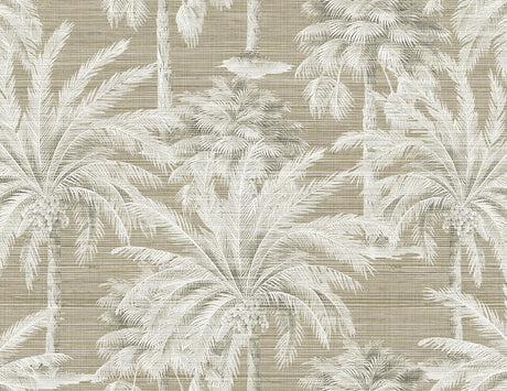 Brewster Home Fashions Dream Of Palm Trees Texture Brown Wallpaper