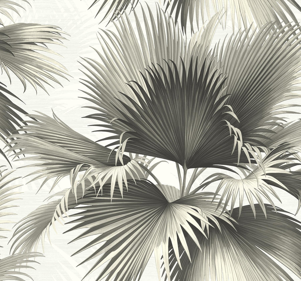Brewster Home Fashions Endless Summer Palm Black Wallpaper