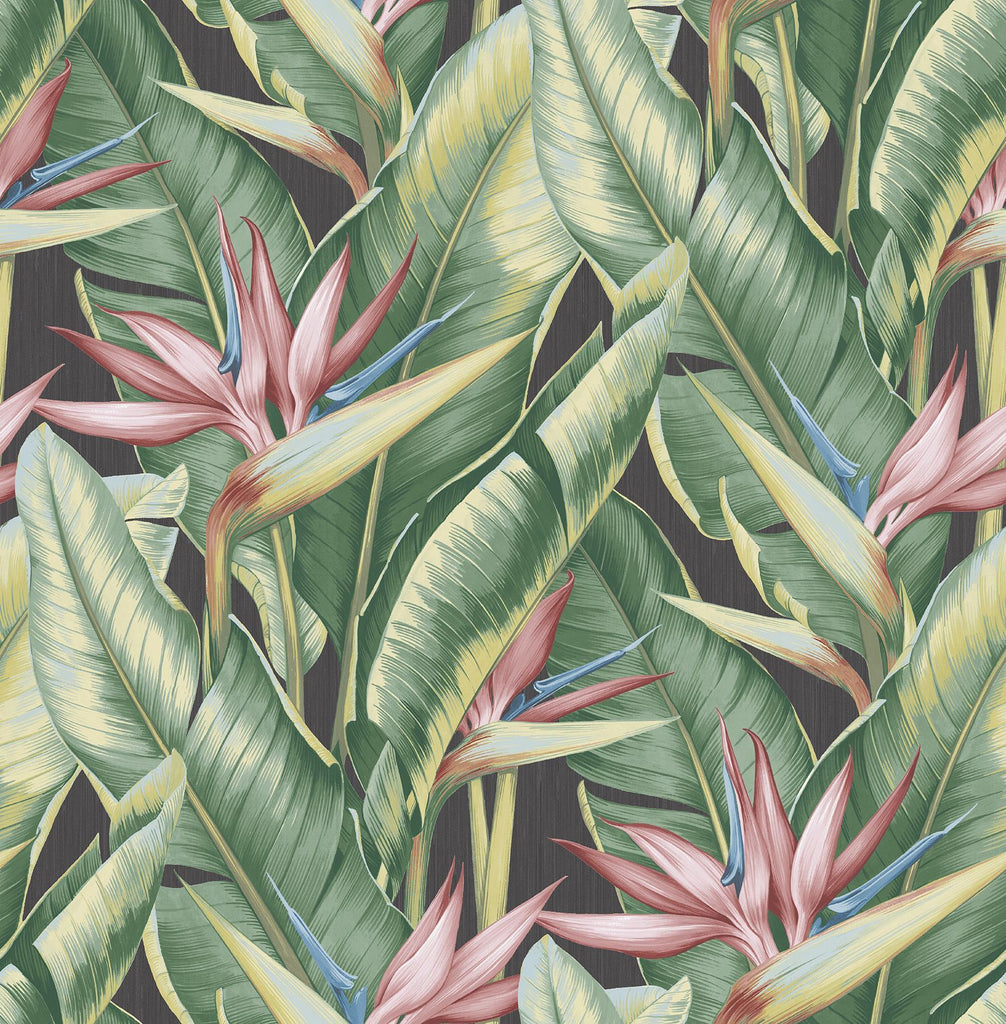 Brewster Home Fashions Arcadia Pink Banana Leaf Wallpaper