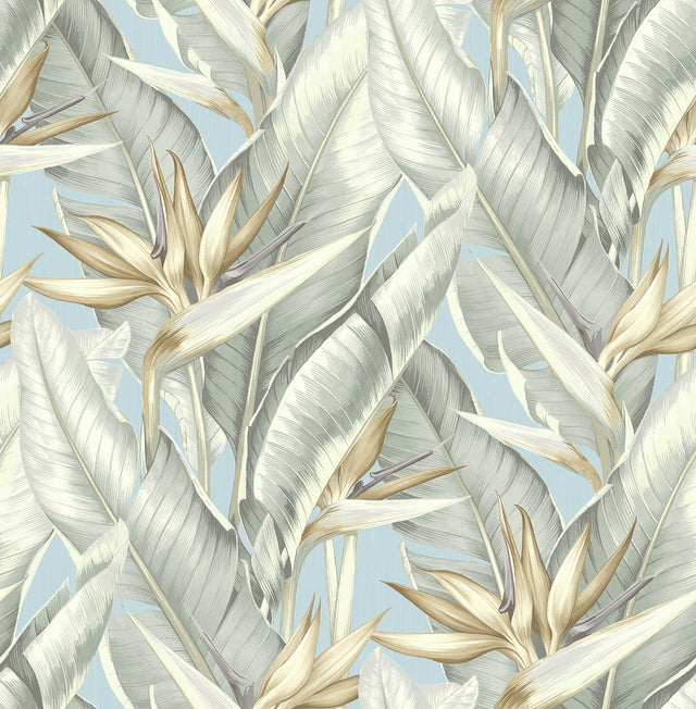 Brewster Home Fashions Arcadia Blueberry Banana Leaf Wallpaper