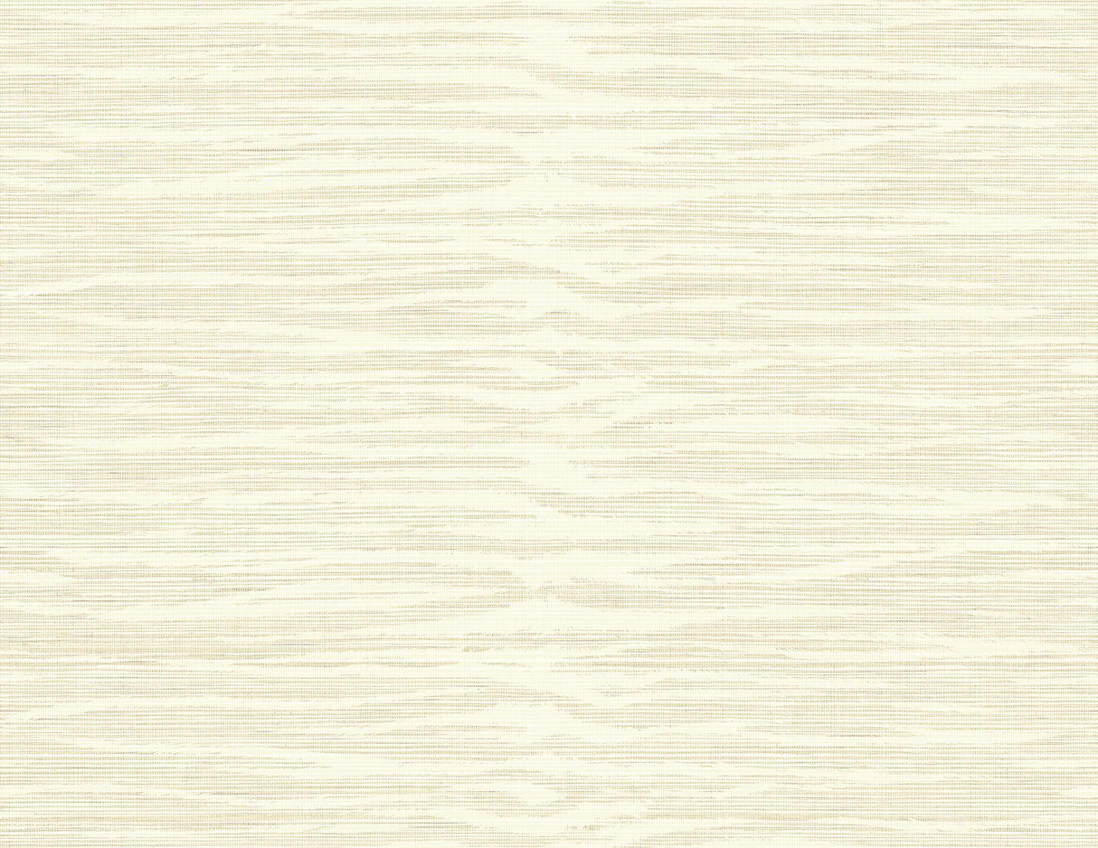 Brewster Home Fashions Wild Side Taupe Texture Wallpaper