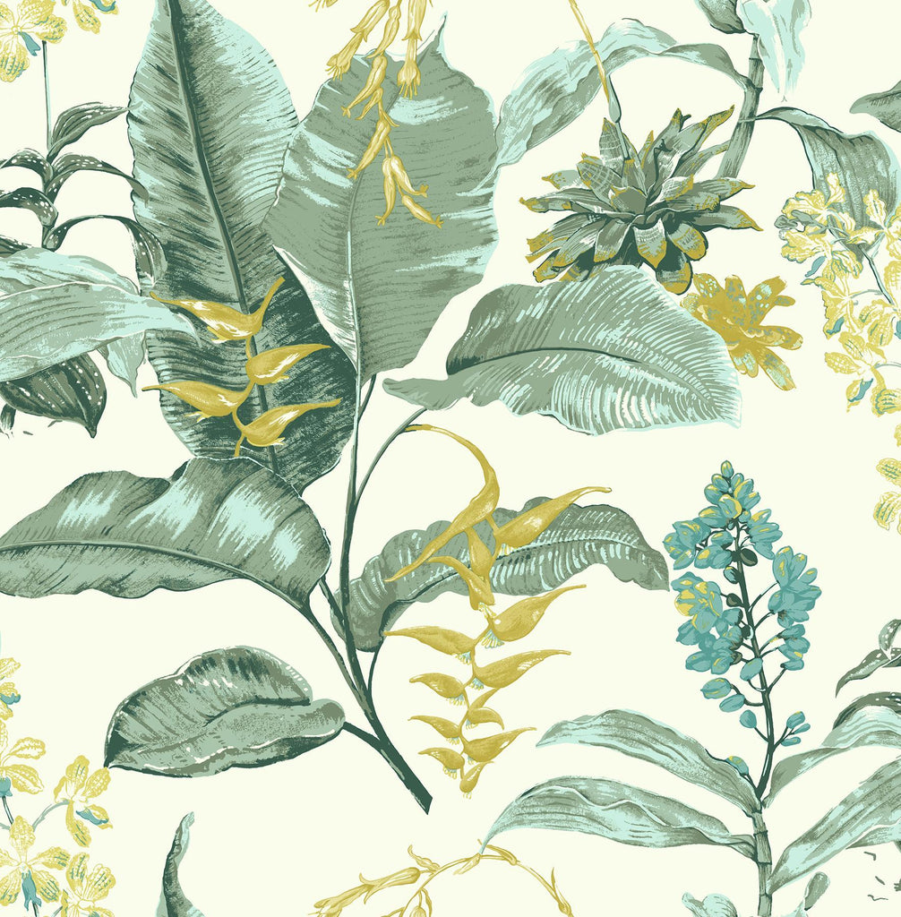 Brewster Home Fashions Maui Green Botanical Wallpaper