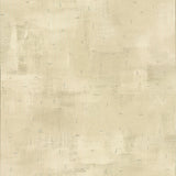 Brewster Home Fashions Portia Beige Distressed Texture Wallpaper