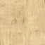Brewster Home Fashions Ozone Gold Texture Wallpaper