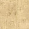 Brewster Home Fashions Ozone Gold Texture Wallpaper