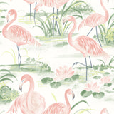 Brewster Home Fashions Everglades Flamingos Coral Wallpaper