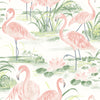 Brewster Home Fashions Everglades Coral Flamingos Wallpaper