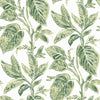 Brewster Home Fashions Mangrove Green Botanical Wallpaper