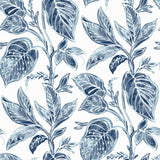 Brewster Home Fashions Mangrove Blue Botanical Wallpaper