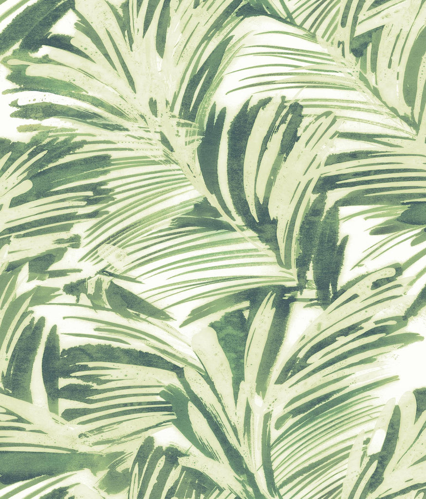 Brewster Home Fashions Chaparral Fronds Green Wallpaper