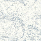 Brewster Home Fashions Charts Map Navy Wallpaper
