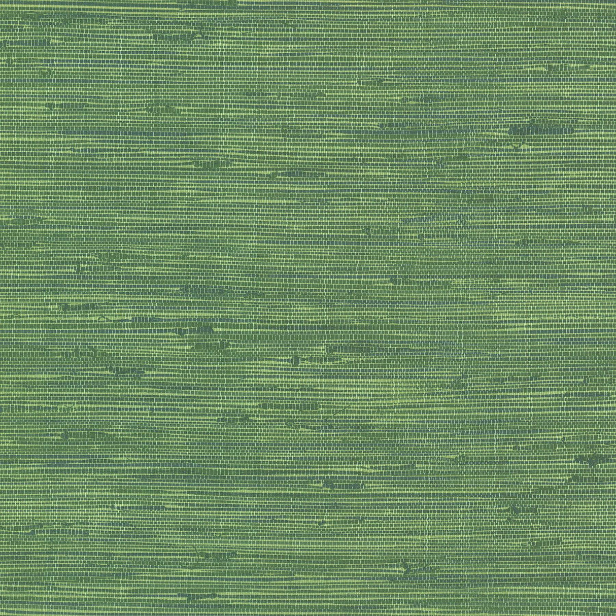 Brewster Home Fashions Brewster Techniques & Finishes III 2767-24419 Green Wallpaper