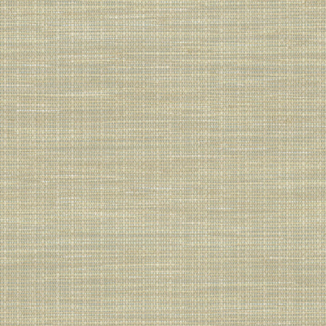 Brewster Home Fashions Brewster Techniques & Finishes III 2767-01694 Neutral Wallpaper