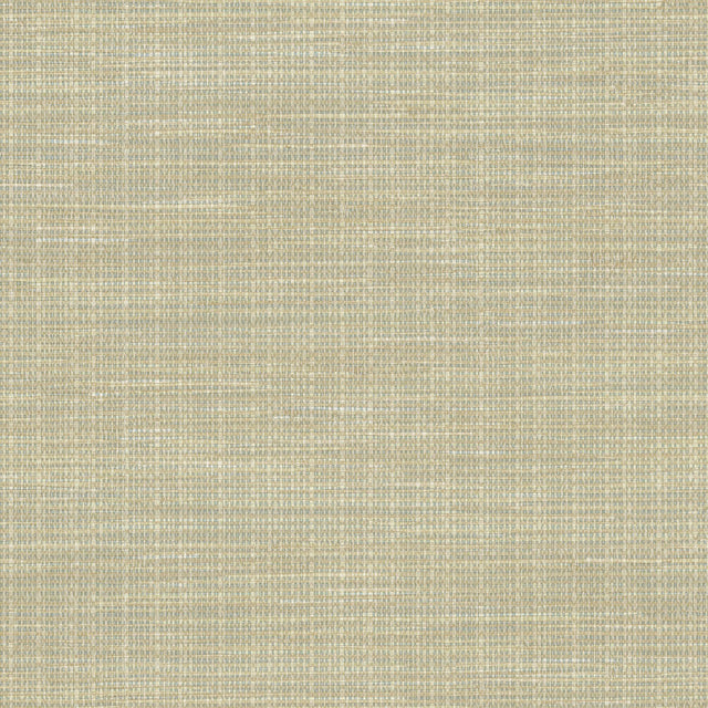 Brewster Home Fashions Brewster Techniques & Finishes III 2767-01694 Neutral Wallpaper