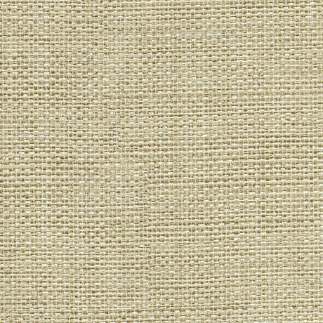 Brewster Home Fashions Warner Textures Warner Grasscloth Resource 2807-8001 Gold Wallpaper