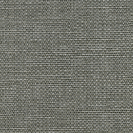 Brewster Home Fashions Warner Textures Warner Grasscloth Resource 2807-8030 Black Wallpaper