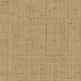 Brewster Home Fashions Warner Textures Warner Grasscloth Resource 2807-6011 Beige Wallpaper