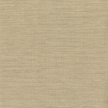 Brewster Home Fashions Warner Textures Warner Grasscloth Resource 2807-6066 Beige Wallpaper