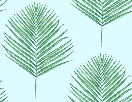 Seabrook Maui Palm Teal Wallpaper