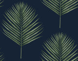 Seabrook Maui Palm Midnight Blue & Paradise Green Wallpaper