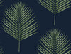 Seabrook Maui Palm Midnight Blue & Paradise Green Wallpaper