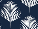 Seabrook Maui Palm Midnight Blue & White Wallpaper