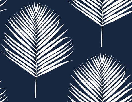 Seabrook Maui Palm Midnight Blue & White Wallpaper