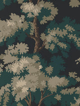 Scalamandre Raphael Black/Charcoal Wallpaper