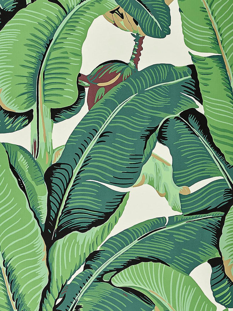 Hinson HINSON PALM - WIDE WIDTH GREEN Wallpaper