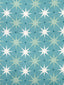 Hinson Star Power Aqua Fabric