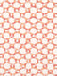 Hinson Island Trellis Peach Fabric