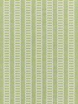 Scalamandre Lark Stripe Grass Fabric