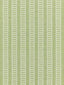 Scalamandre Lark Stripe Grass Fabric