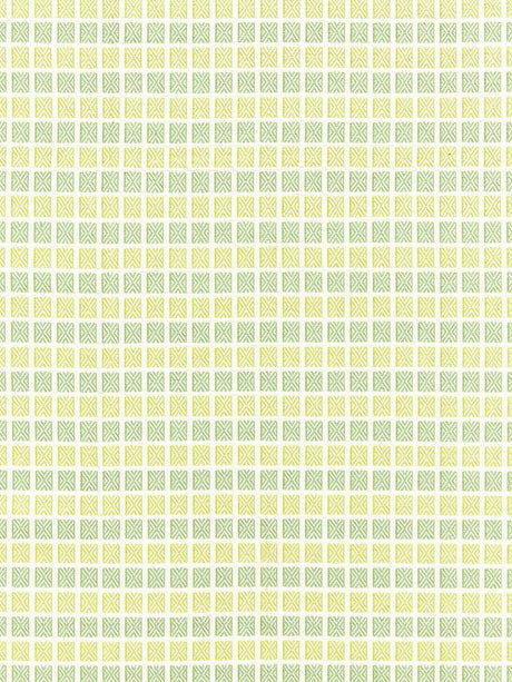 Scalamandre Fair Isle Meadow Fabric