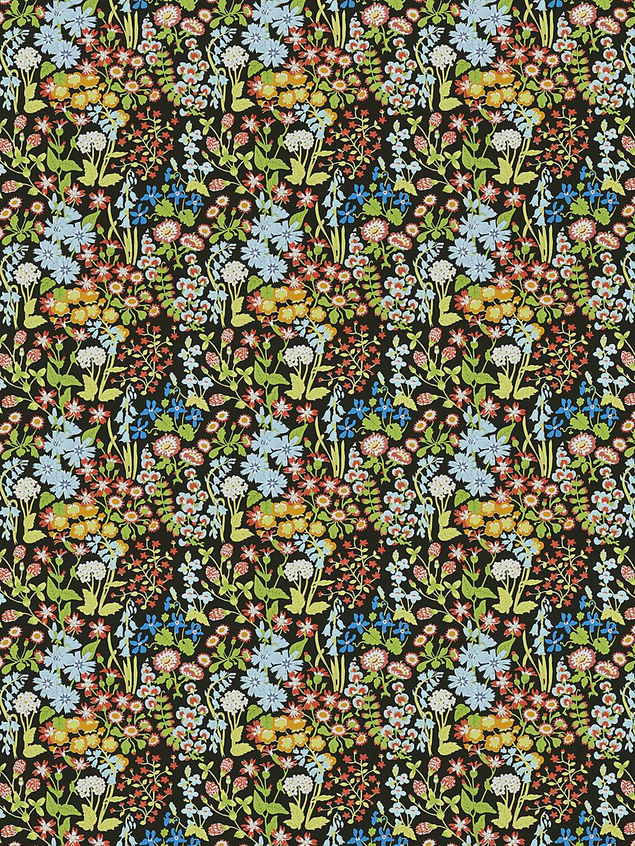 Scalamandre Nymph Floral Black Multi Fabric