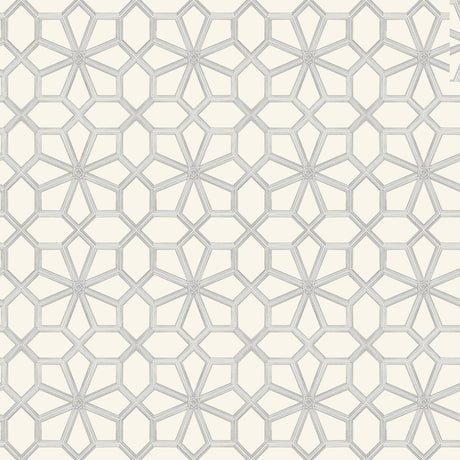 Cole & Son WOLSEY STARS SOOT ON SNOW Wallpaper