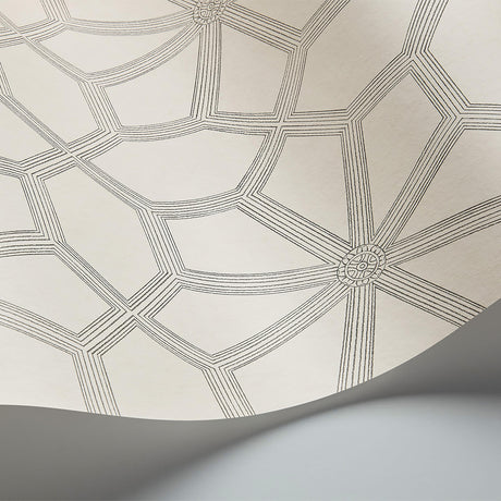 Cole & Son WOLSEY STARS SOOT ON SNOW Wallpaper