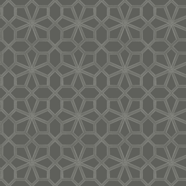 Cole & Son WOLSEY STARS CHALK/CHARCL Wallpaper