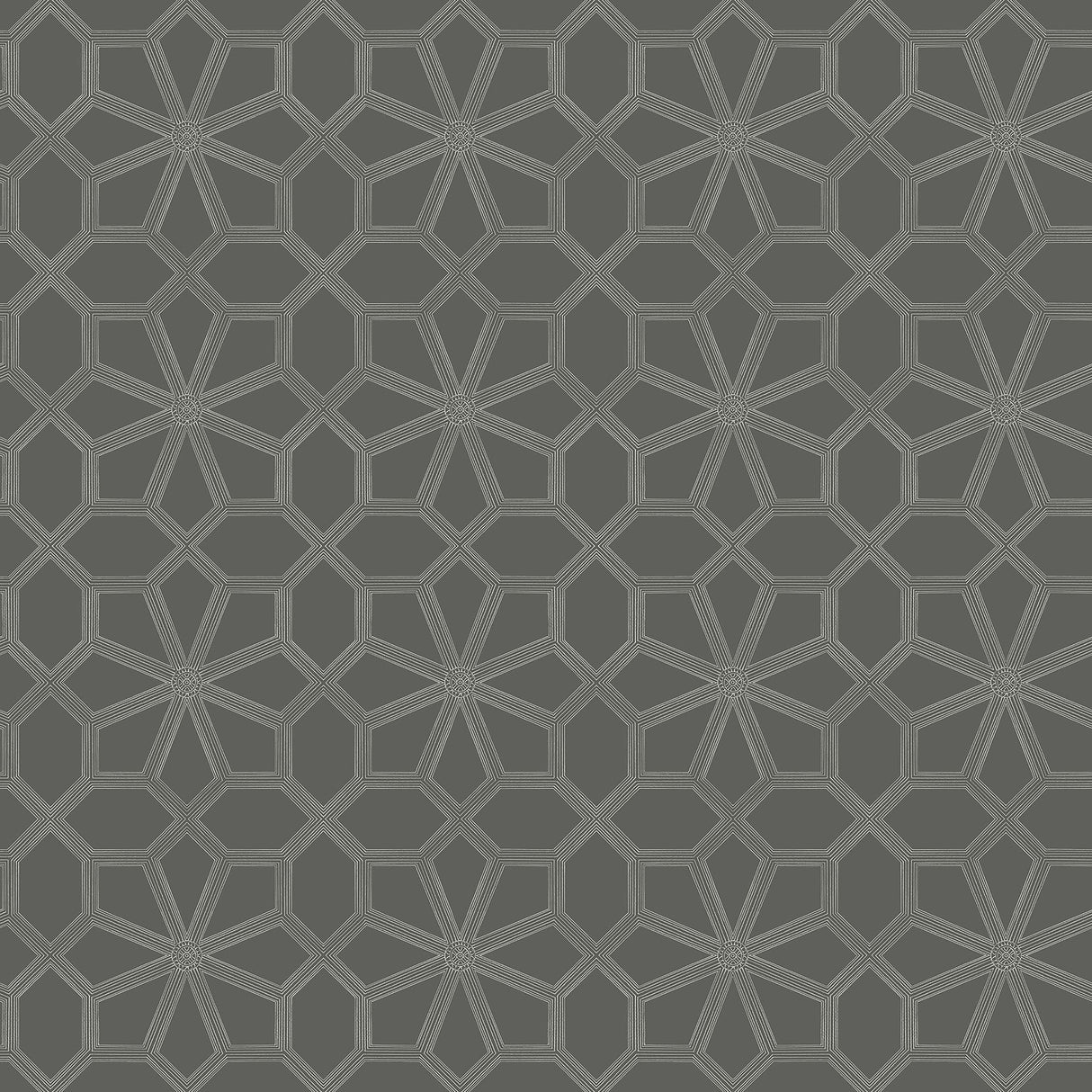 Cole & Son WOLSEY STARS CHALK/CHARCL Wallpaper