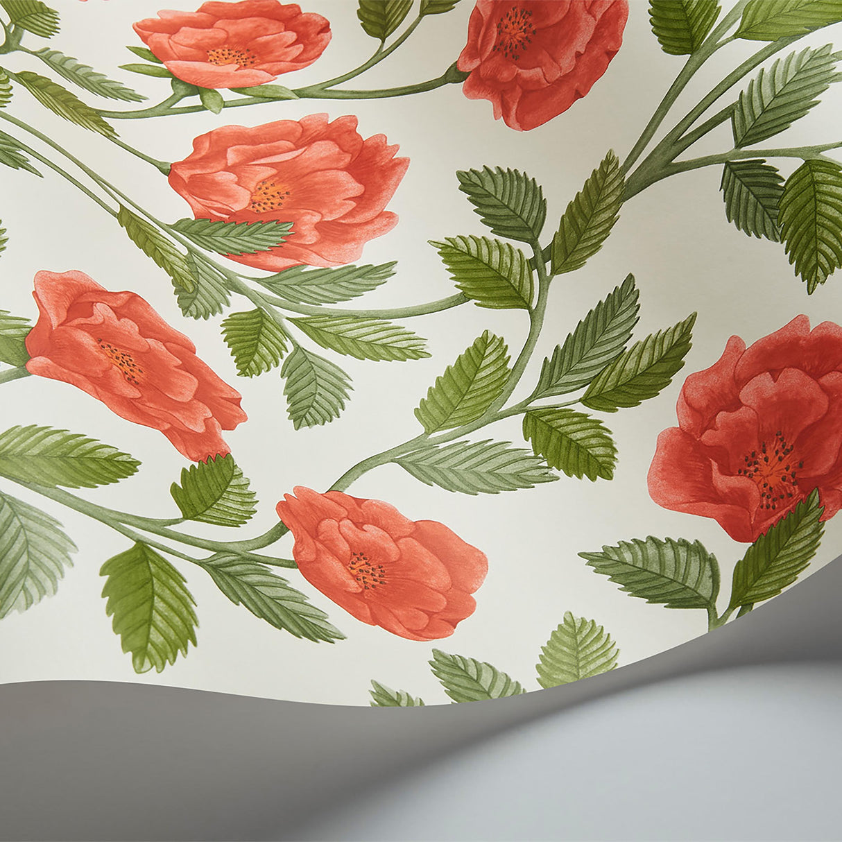 Cole & Son HAMPTON ROSES R&SGRN/PMNT Wallpaper