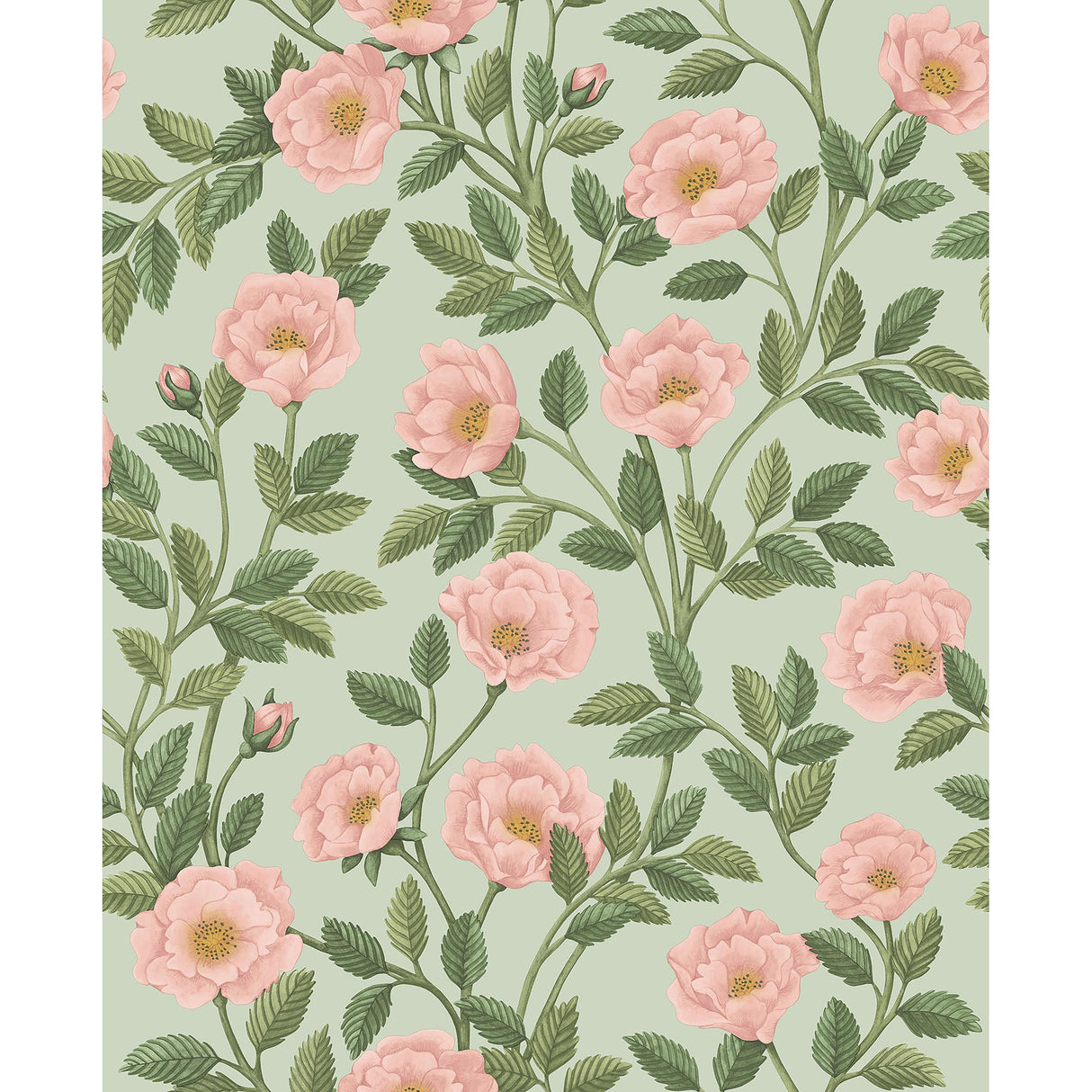Cole & Son HAMPTON ROSES R&LGRN/DEGG Wallpaper