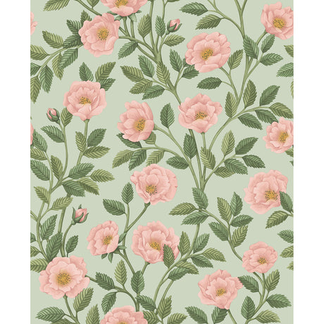 Cole & Son HAMPTON ROSES R&LGRN/DEGG Wallpaper