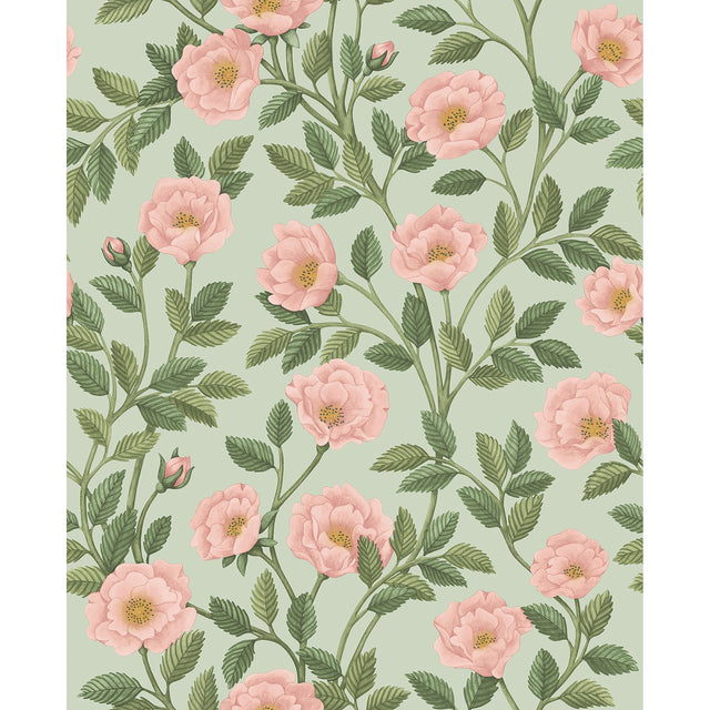 Cole & Son HAMPTON ROSES R&LGRN/DEGG Wallpaper