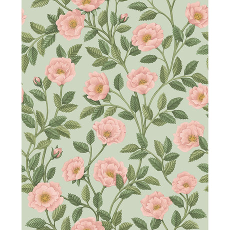 Cole & Son Hampton Roses R&Lgrn/Degg Wallpaper