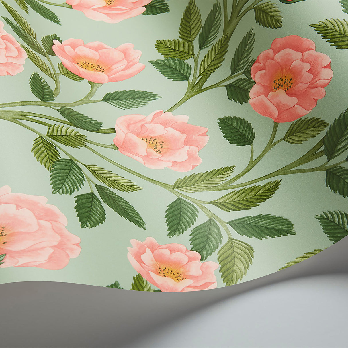 Cole & Son HAMPTON ROSES R&LGRN/DEGG Wallpaper