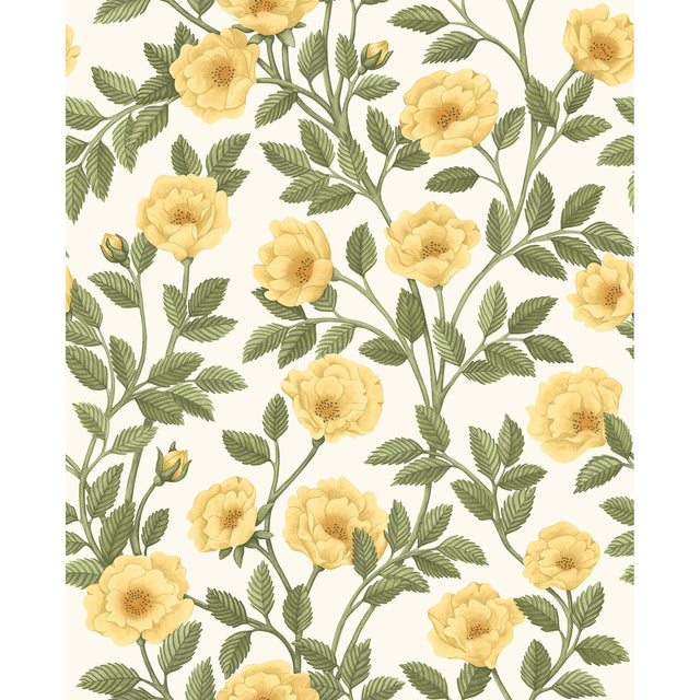 Cole & Son HAMPTON ROSES MRG&OGRN/WH Wallpaper