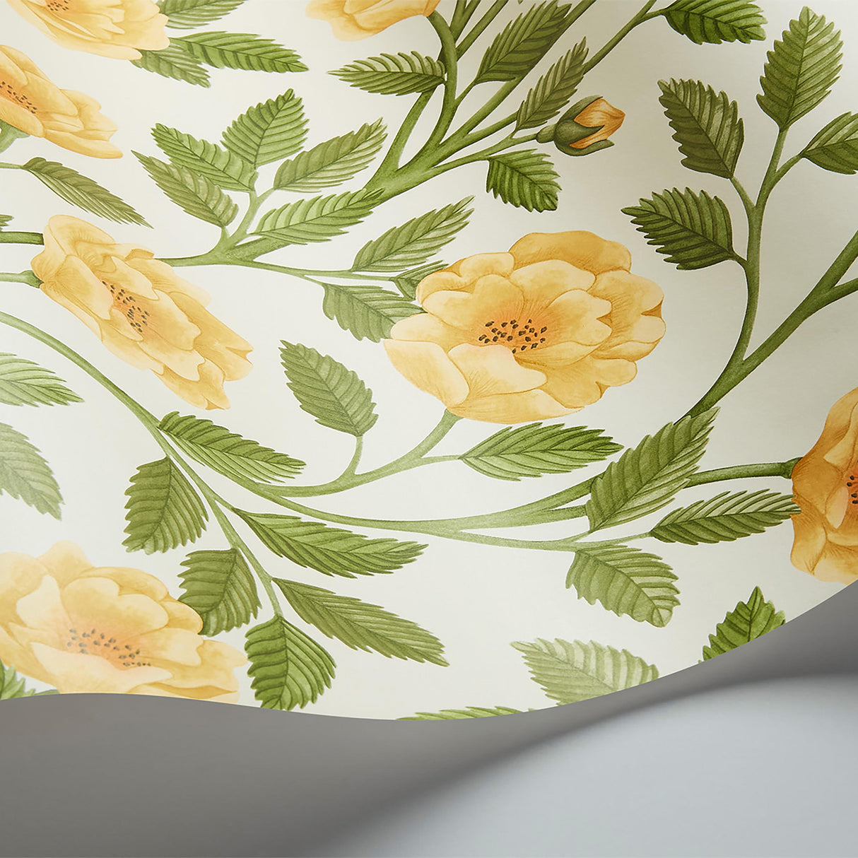 Cole & Son HAMPTON ROSES MRG&OGRN/WH Wallpaper
