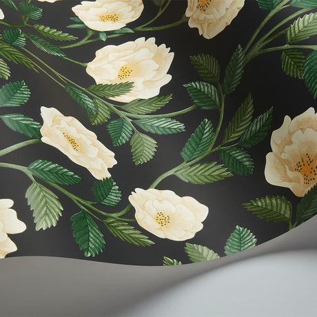 Cole & Son HAMPTON ROSES CRM&FGRN/CH Wallpaper