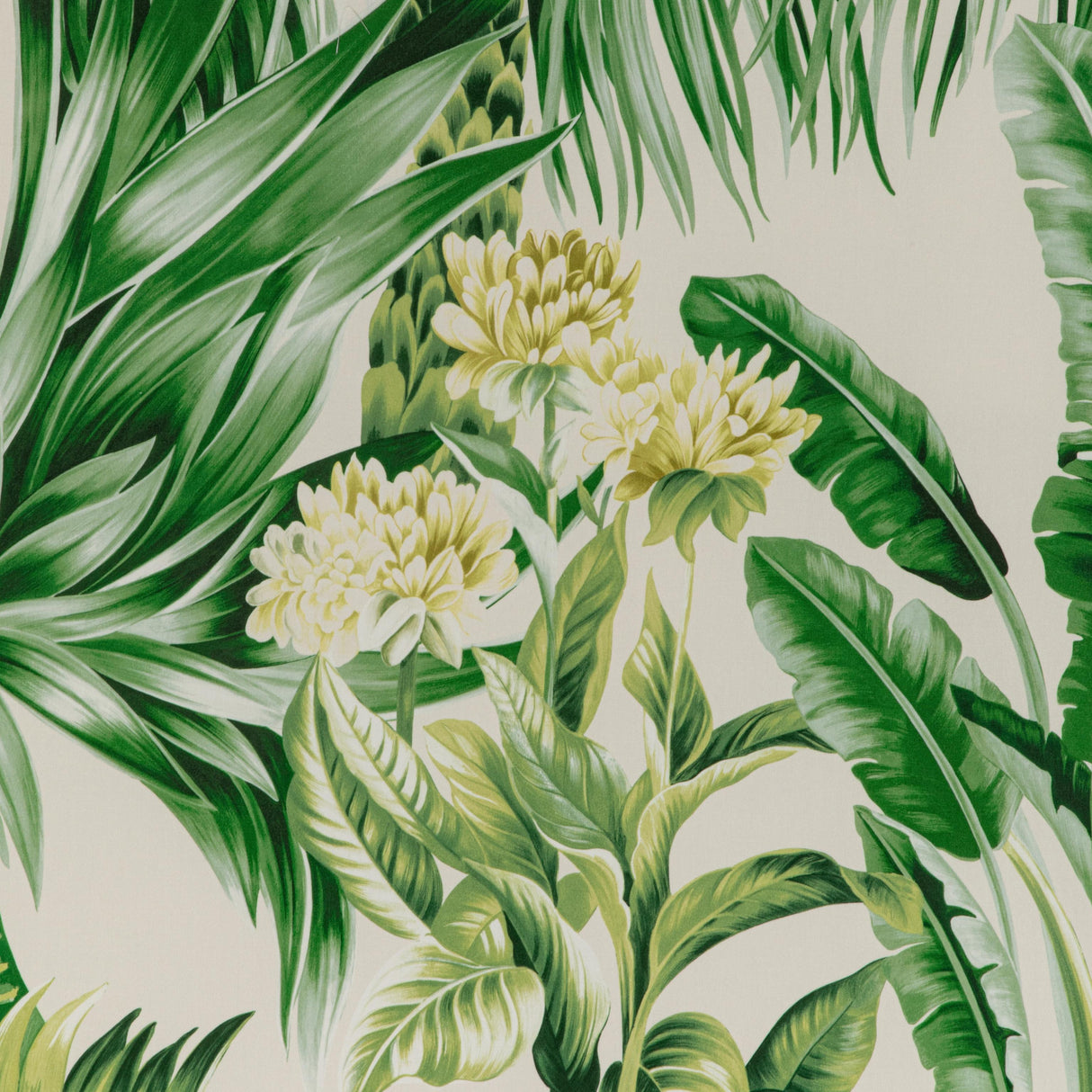 Lee Jofa CALUYA PRINT PALM Fabric